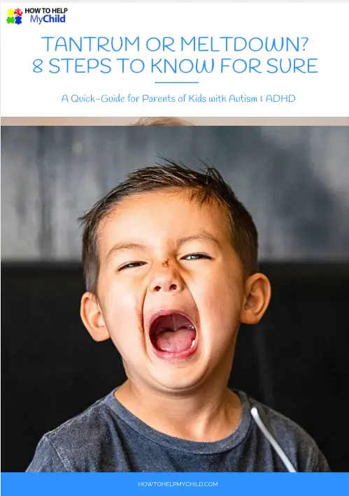 Tantrum or Meltdown Freebie from How To Help My Child